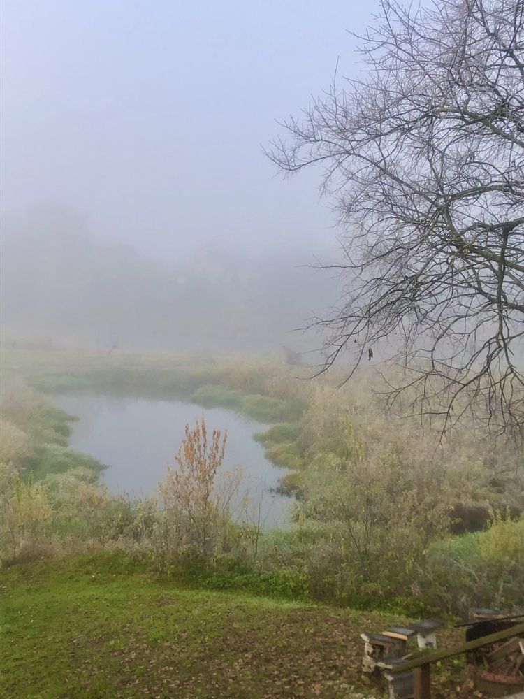 Photograph by Белехова Светлана