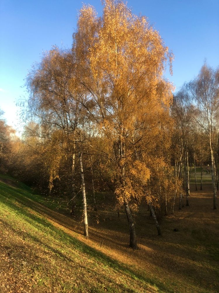 Photograph by Белехова Светлана