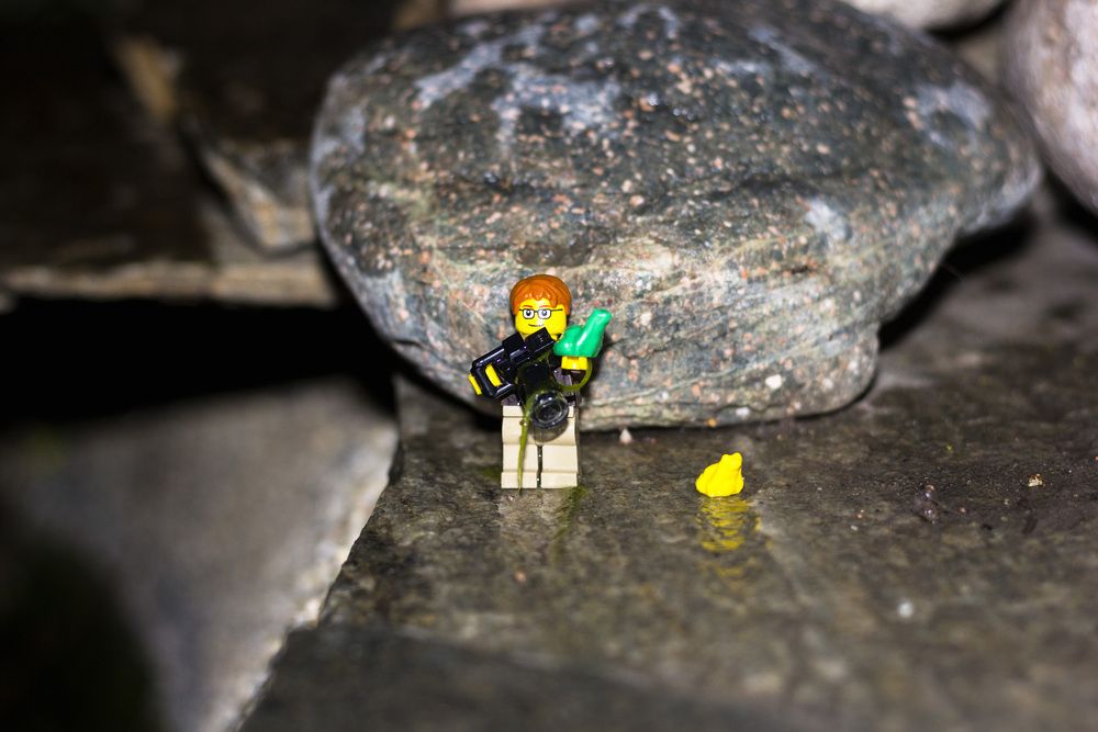 Photograph by Mark Kolbin