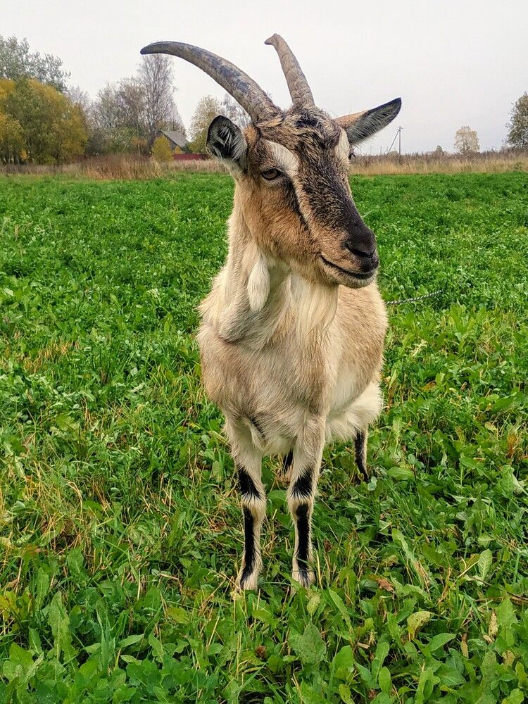Photograph by Ольга Рыбина