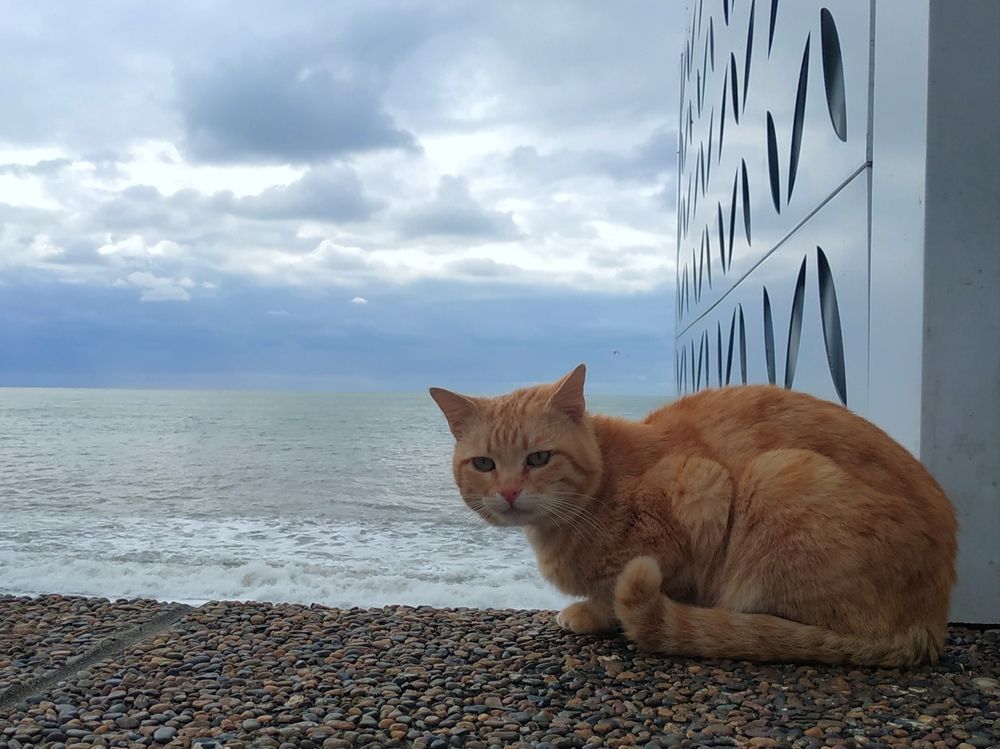 Photograph by Ольга Рыбина