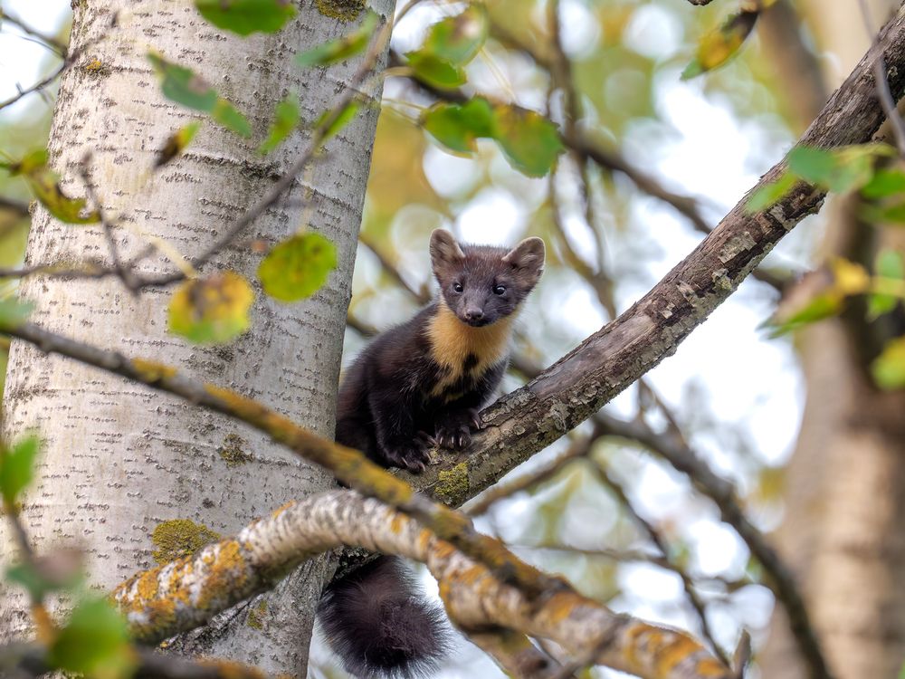 Photograph by Вера Машина