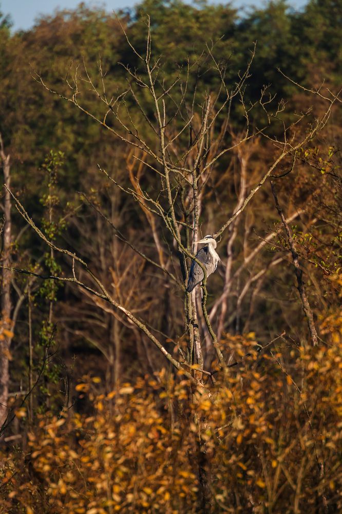 Фотография автора Дмитрий
