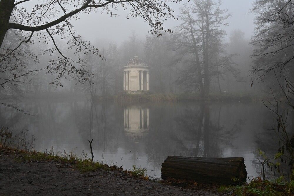 Photograph by IRINA FILIPPOVA