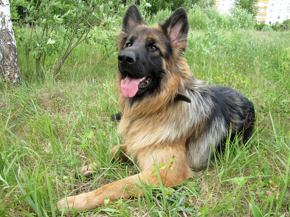 Photograph by Наталья Кузнецова