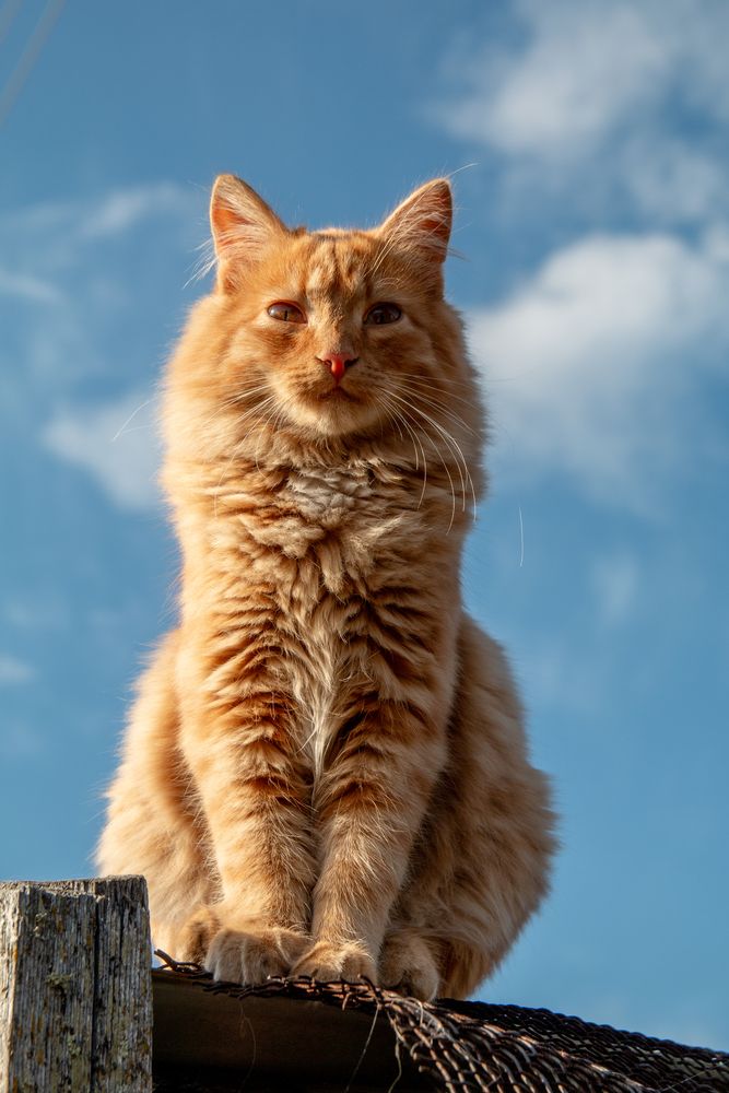 Photograph by Ирина Рыжова