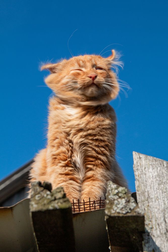 Photograph by Ирина Рыжова