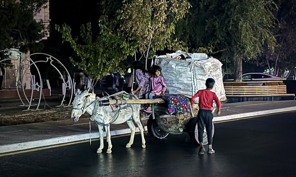 Навои: Ночные путешественники