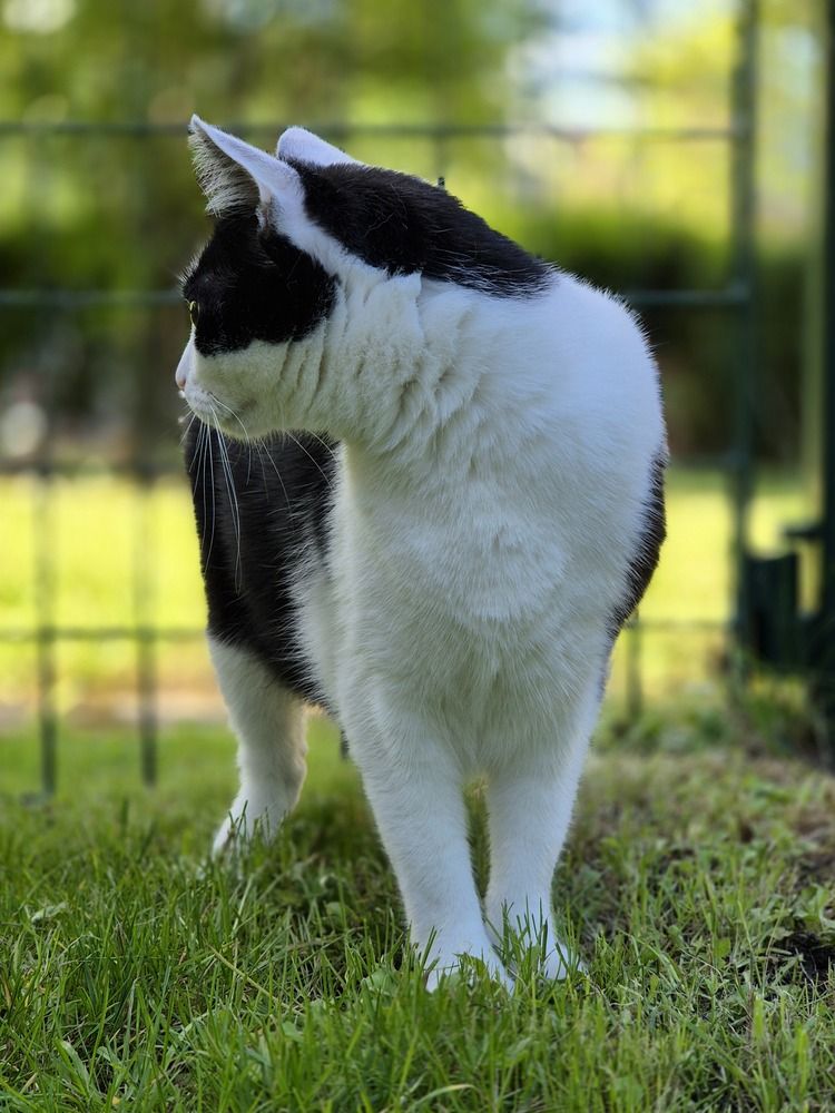 Photograph by Мария Коломиец