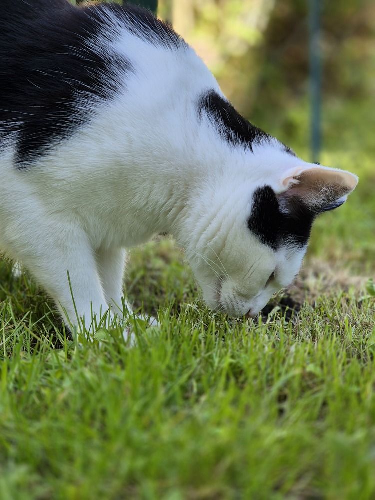 Photograph by Мария Коломиец