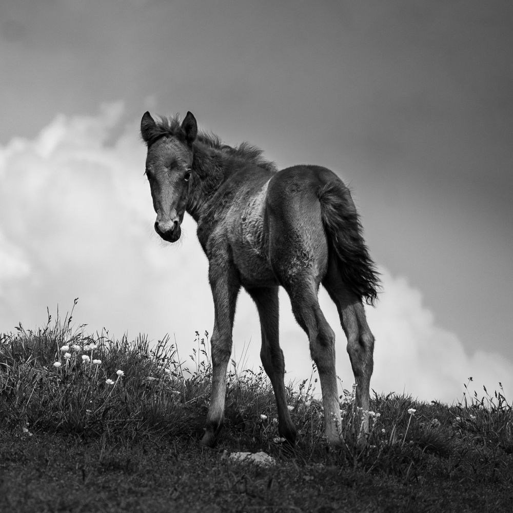 Photograph by Анна Стрелковская