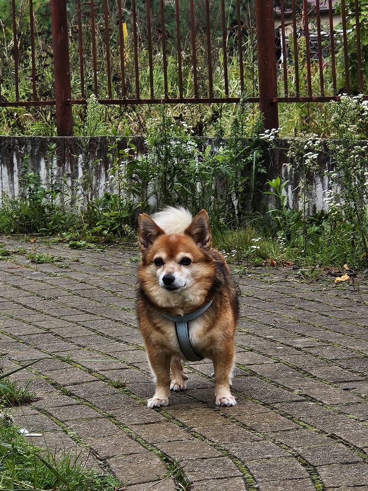 Photograph by Кристина Альшанская