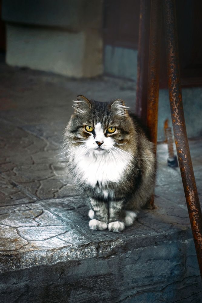 Photograph by Анастасия Бородулина