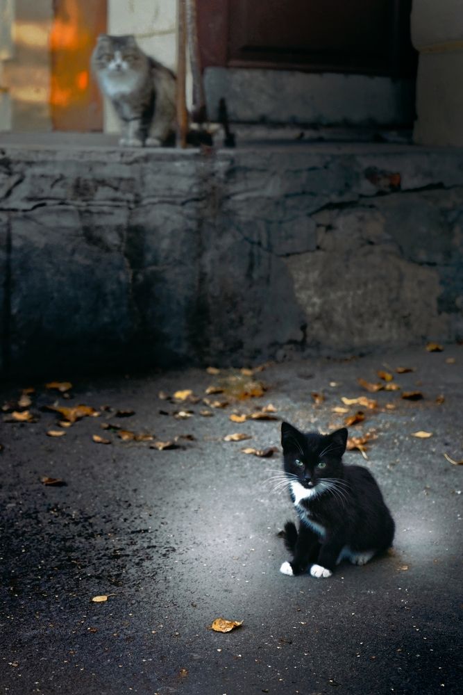 Photograph by Анастасия Бородулина