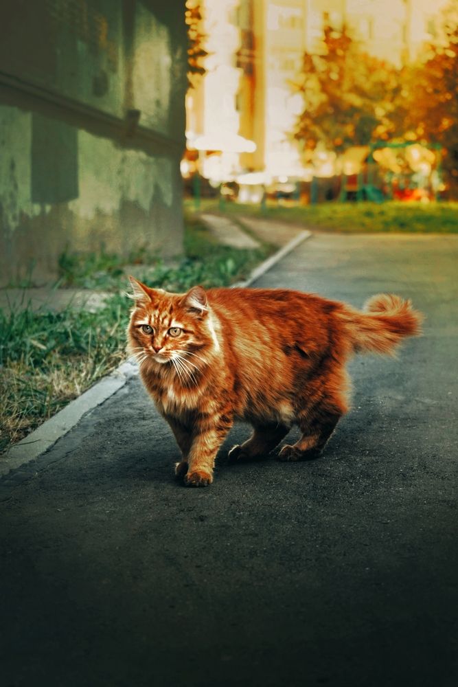 Photograph by Анастасия Бородулина