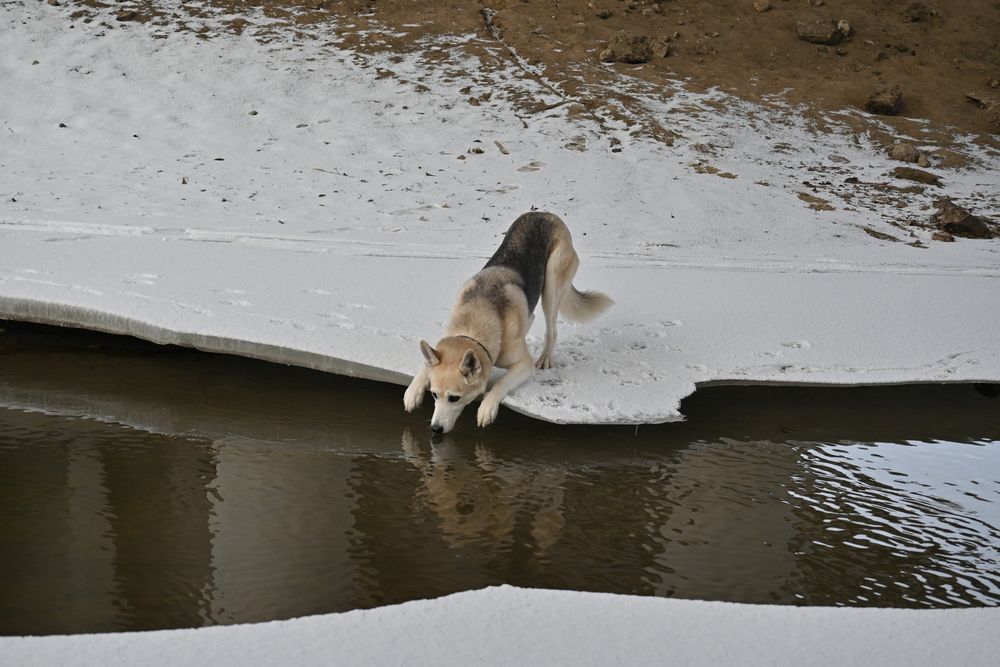 Фотография автора IRINA FILIPPOVA