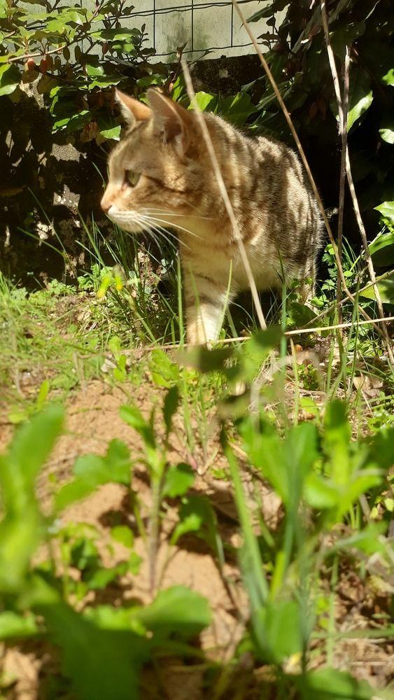 Photograph by SAMEERA MADUSHANTHA MUTHUKUDA ARACHCHIGE