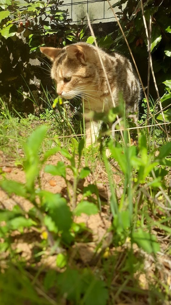 Photograph by SAMEERA MADUSHANTHA MUTHUKUDA ARACHCHIGE