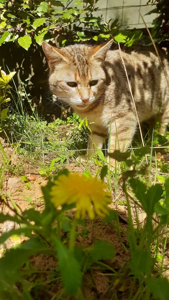 Photograph by SAMEERA MADUSHANTHA MUTHUKUDA ARACHCHIGE