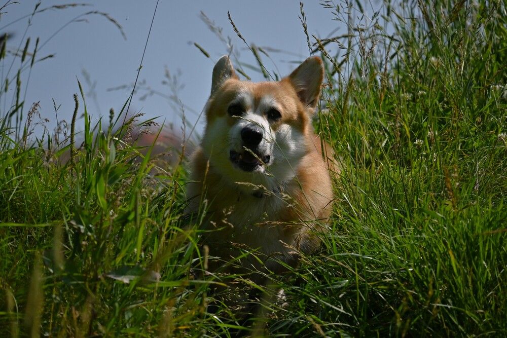 Фотография автора IRINA FILIPPOVA