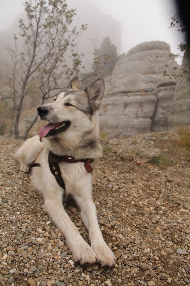 Photograph by Мария Бобылева