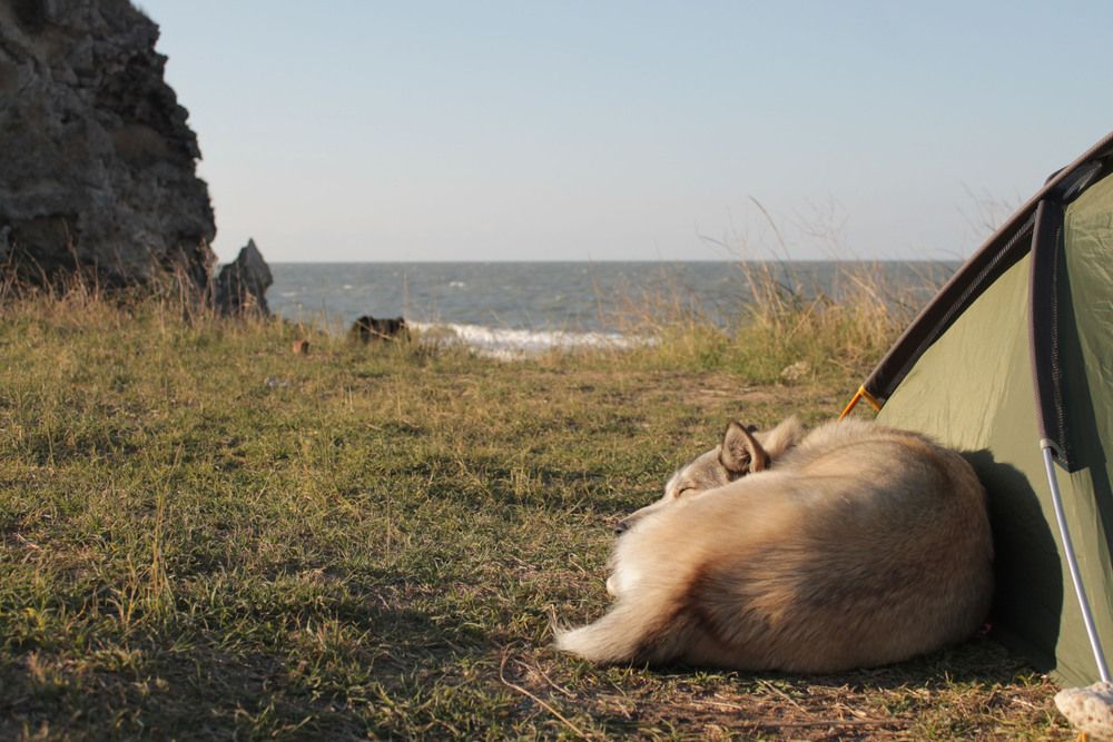 Photograph by Мария Бобылева