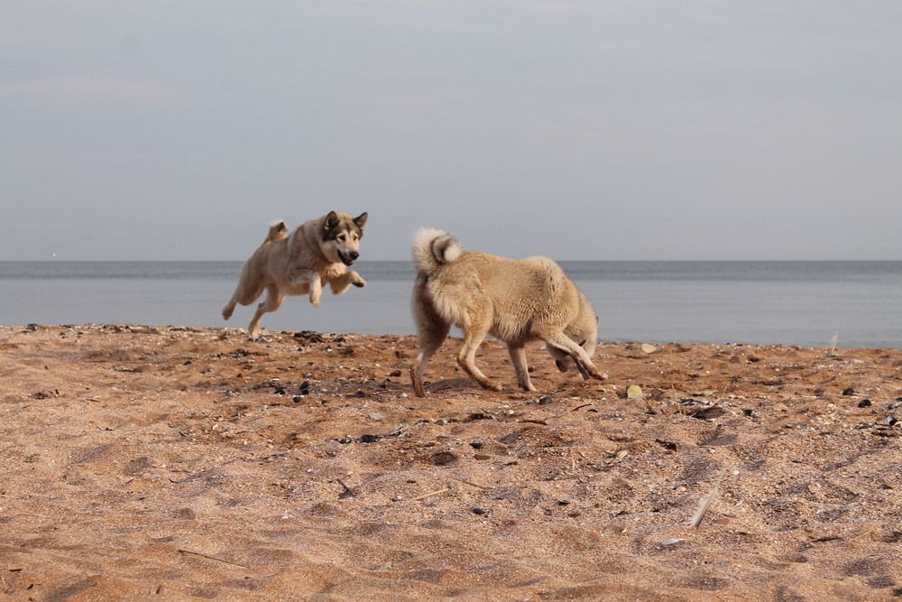 Photograph by Мария Бобылева