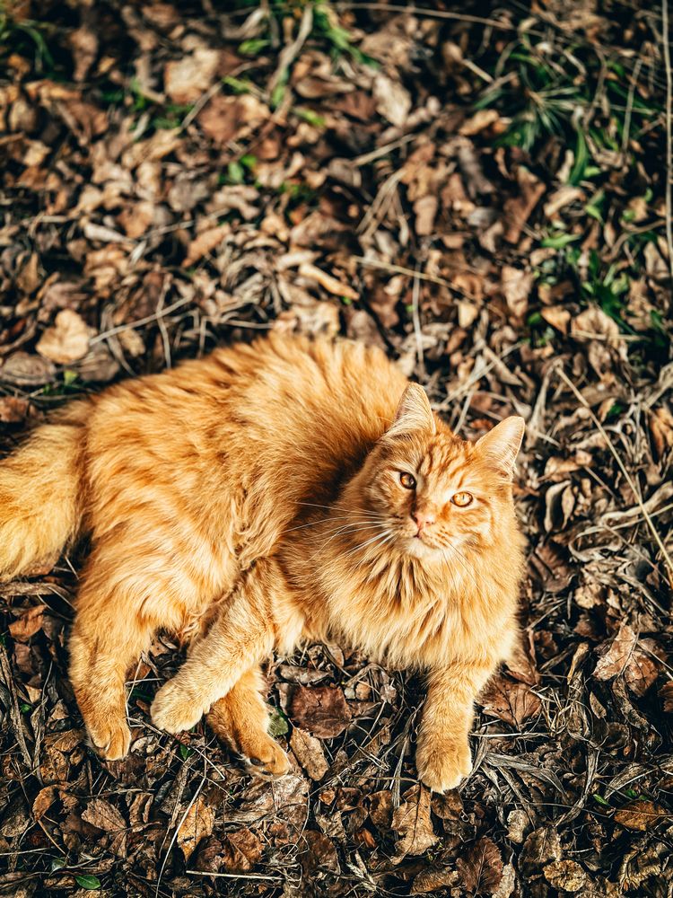 Photograph by  Ирина