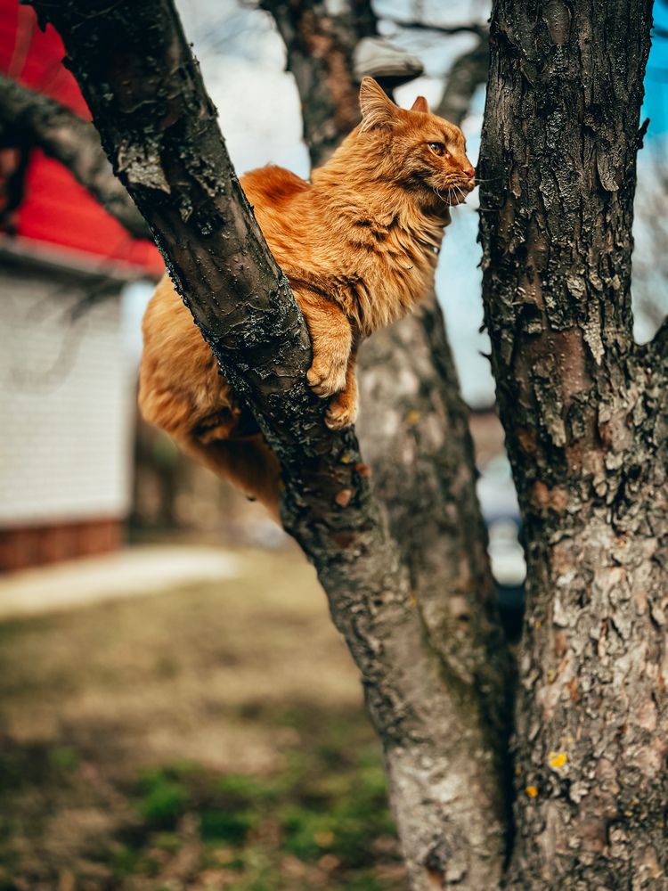 Photograph by  Ирина