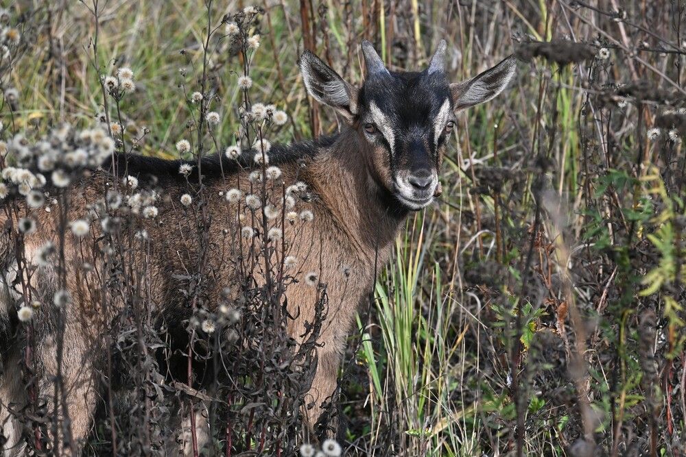 Фотография автора IRINA FILIPPOVA