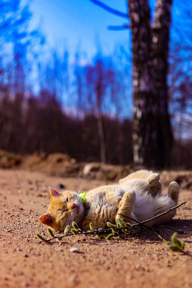 Photograph by Руслана Ковалевская