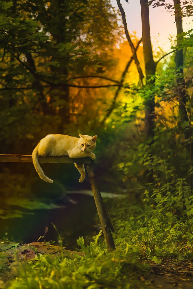 Photograph by Руслана Ковалевская