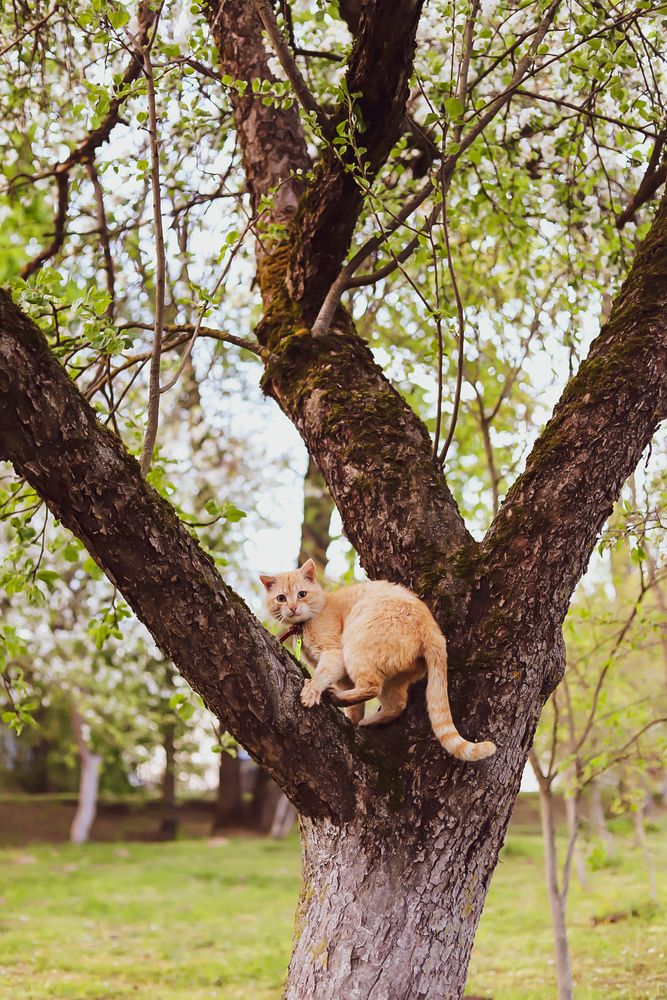 Photograph by Руслана Ковалевская