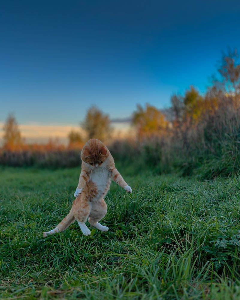 Photograph by Наталья Балабанова