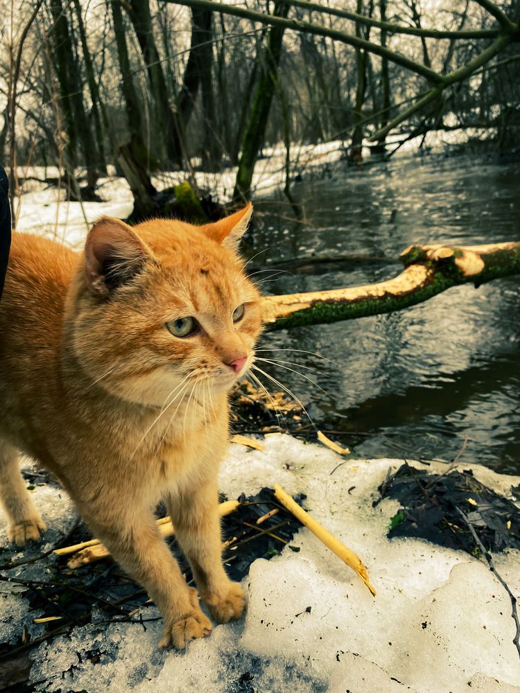 Photograph by Руслана Ковалевская