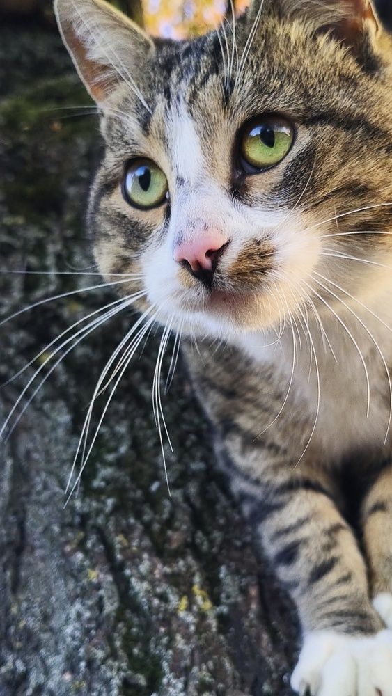 Photograph by Виорика Фоменко