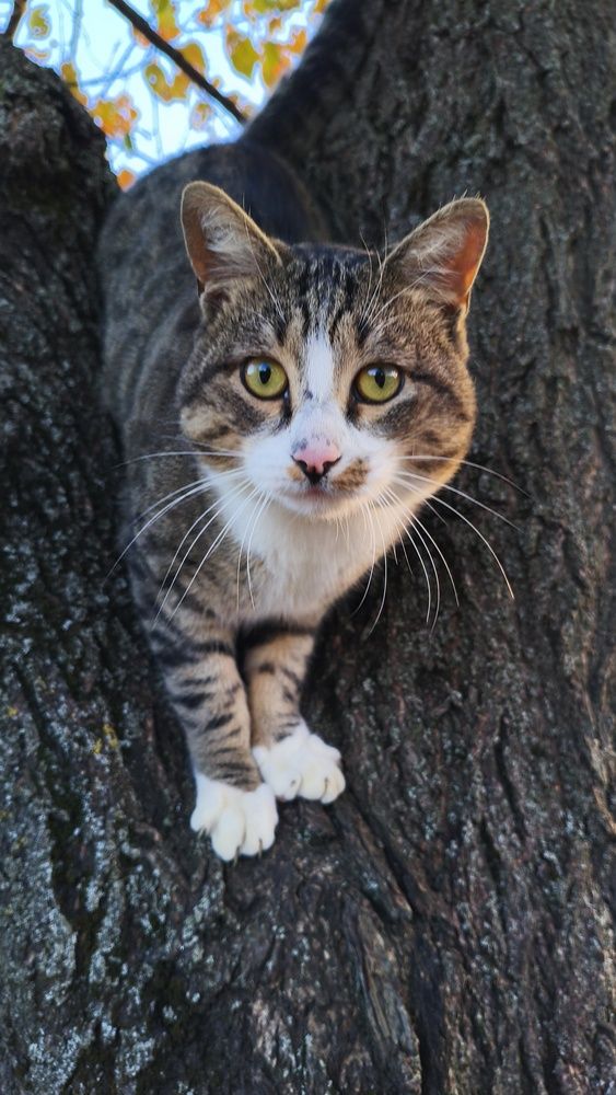 Photograph by Виорика Фоменко