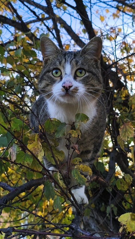 Photograph by Виорика Фоменко