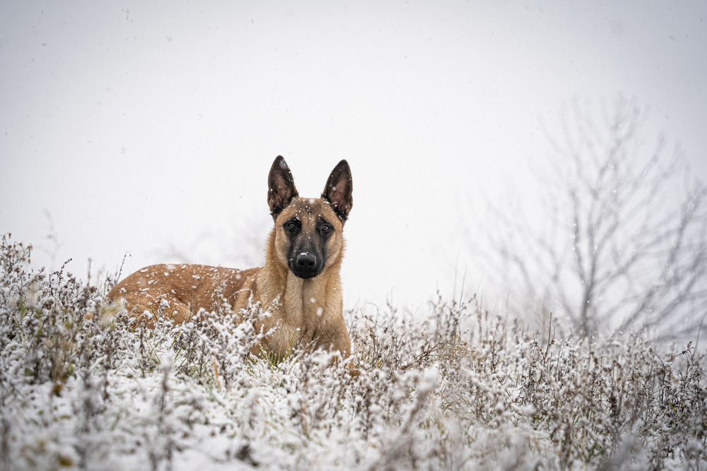 Фотография автора Viktória Bertha