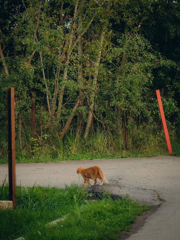 Фотография автора Марина Рябуха