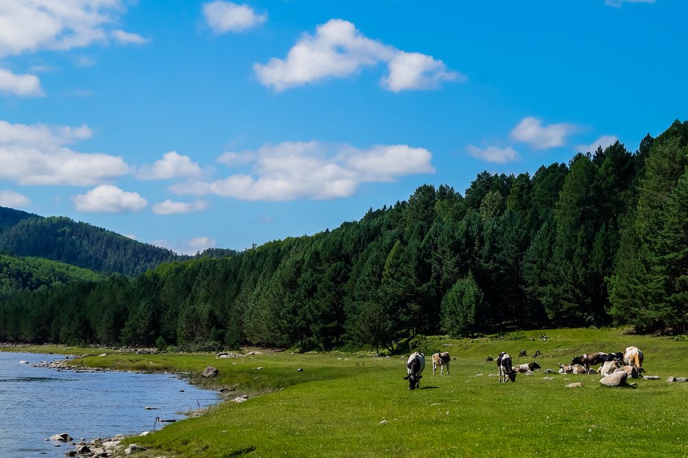 Photograph by Виктор Сёмушкин