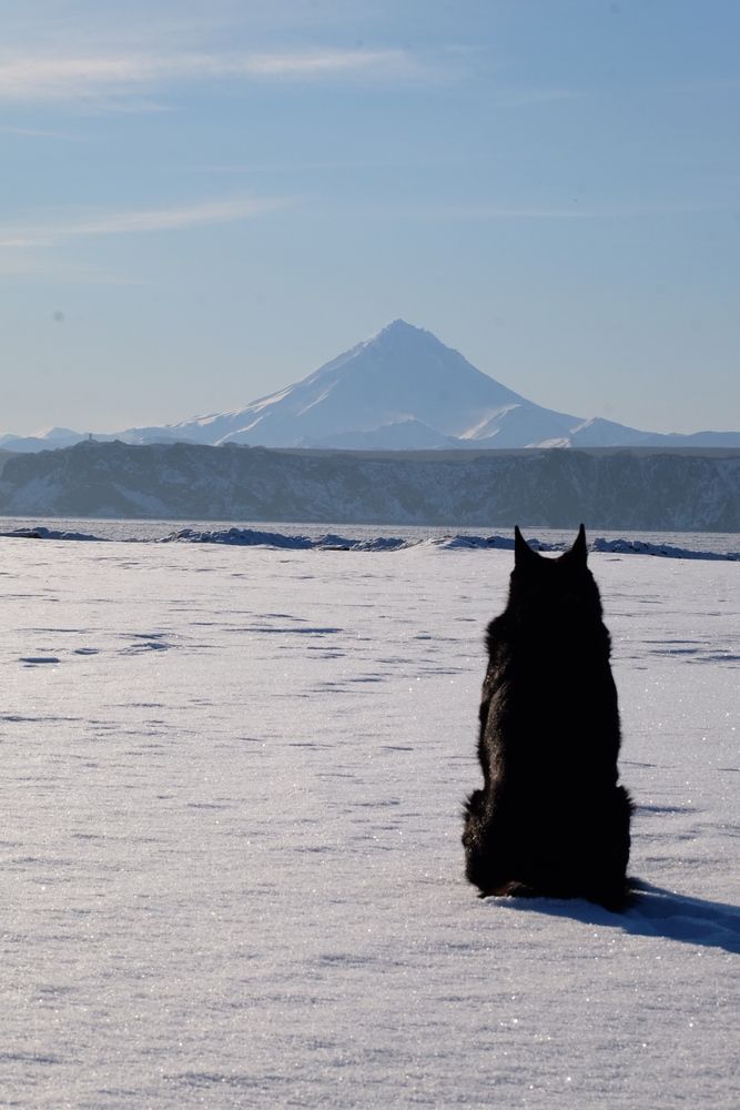 Photograph by Яна Бойко