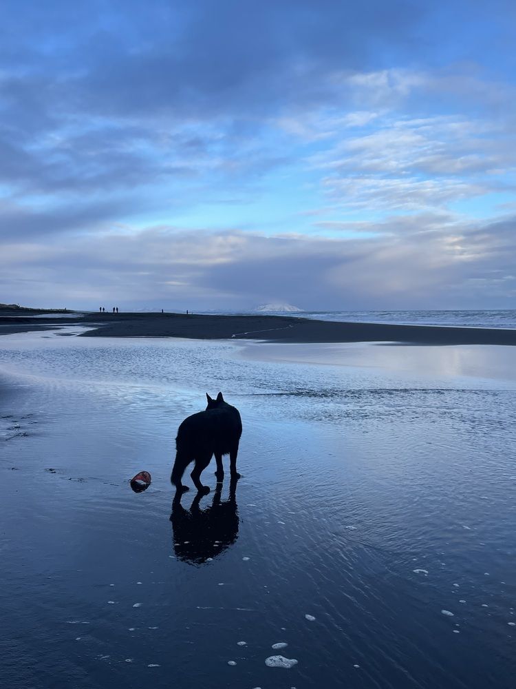 Photograph by Яна Бойко