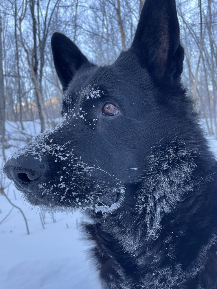 Photograph by Яна Бойко