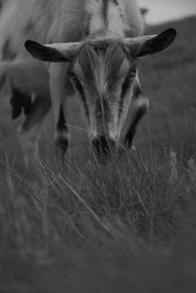 Photograph by Сидоренко Оксана