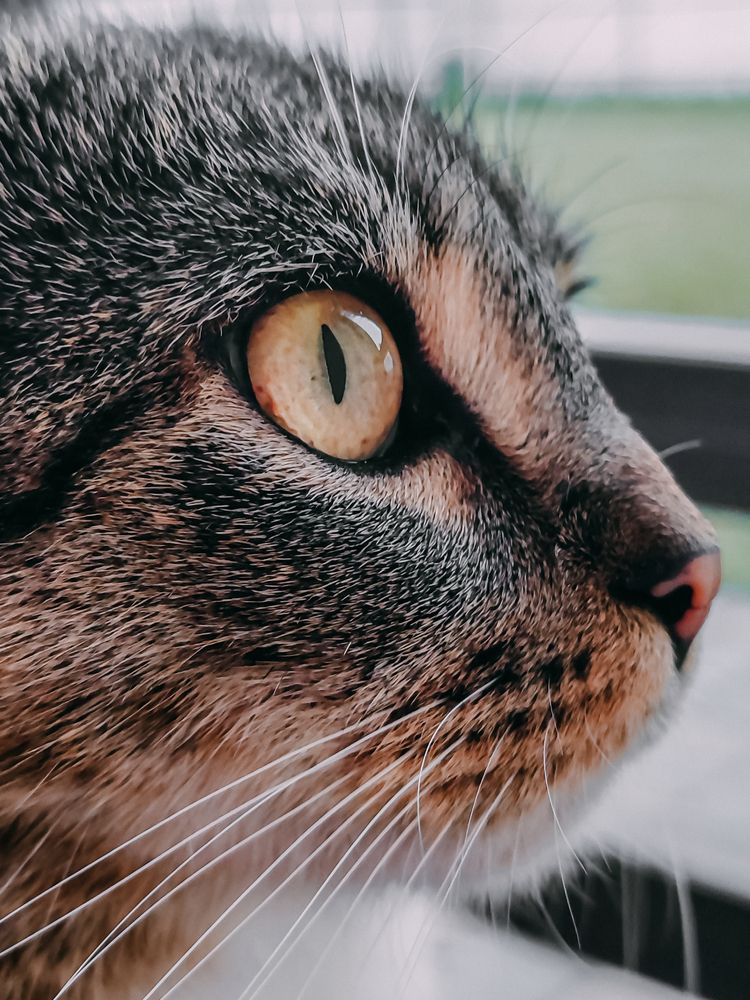 Фотография автора Любовь