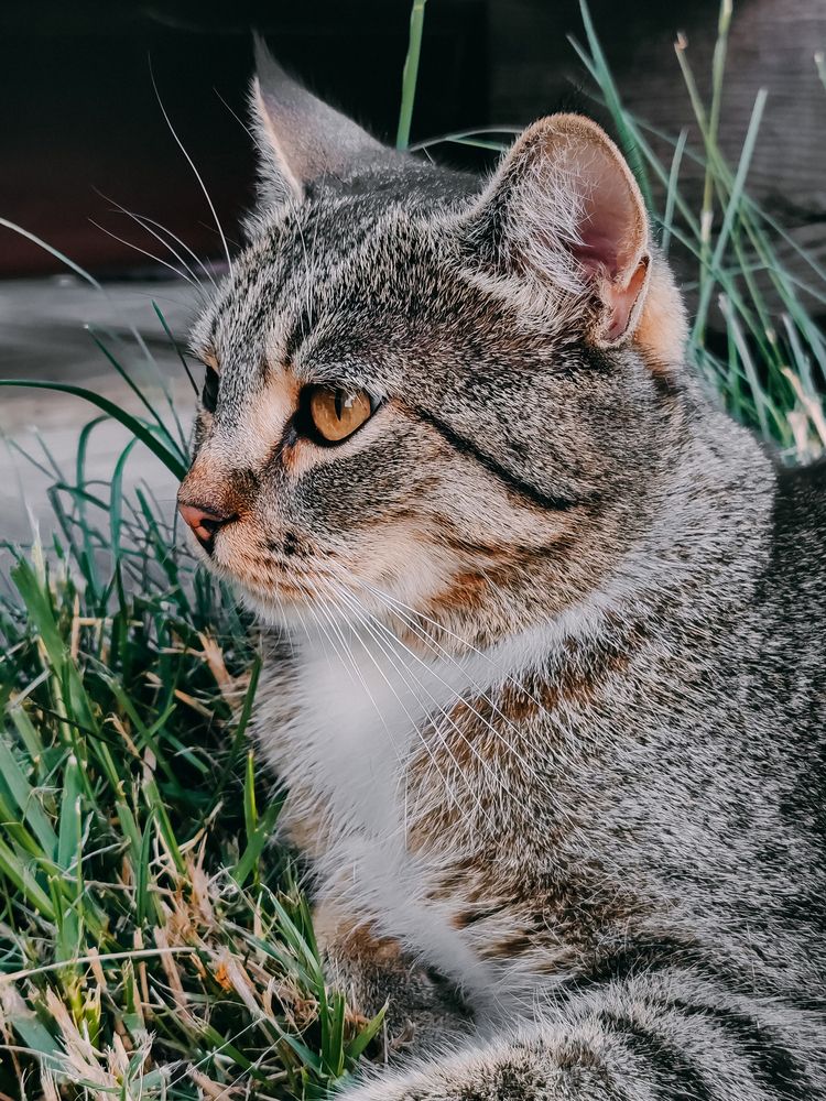 Фотография автора Любовь