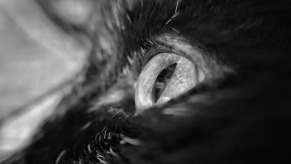 Photograph by Наталья Гущина