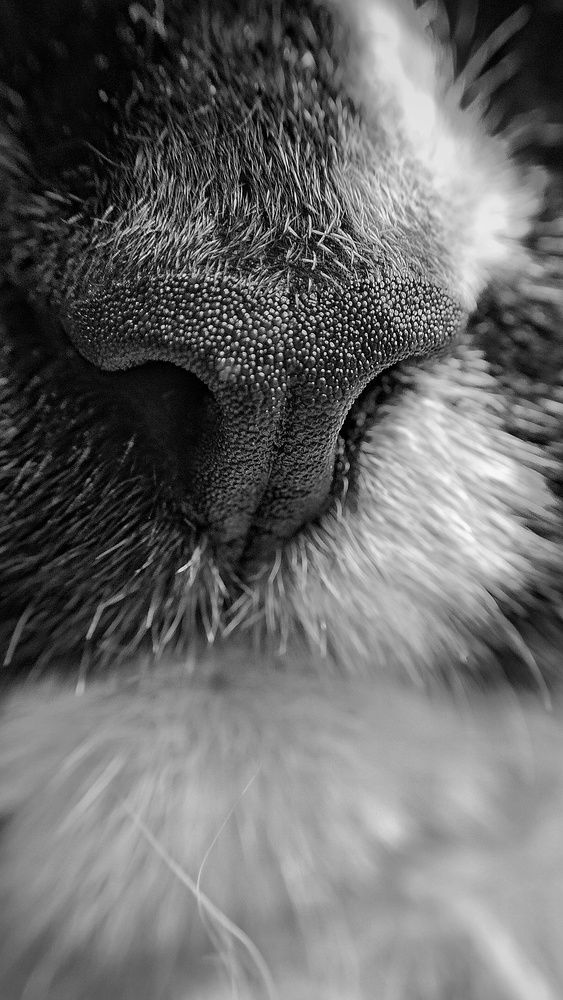 Photograph by Наталья Гущина