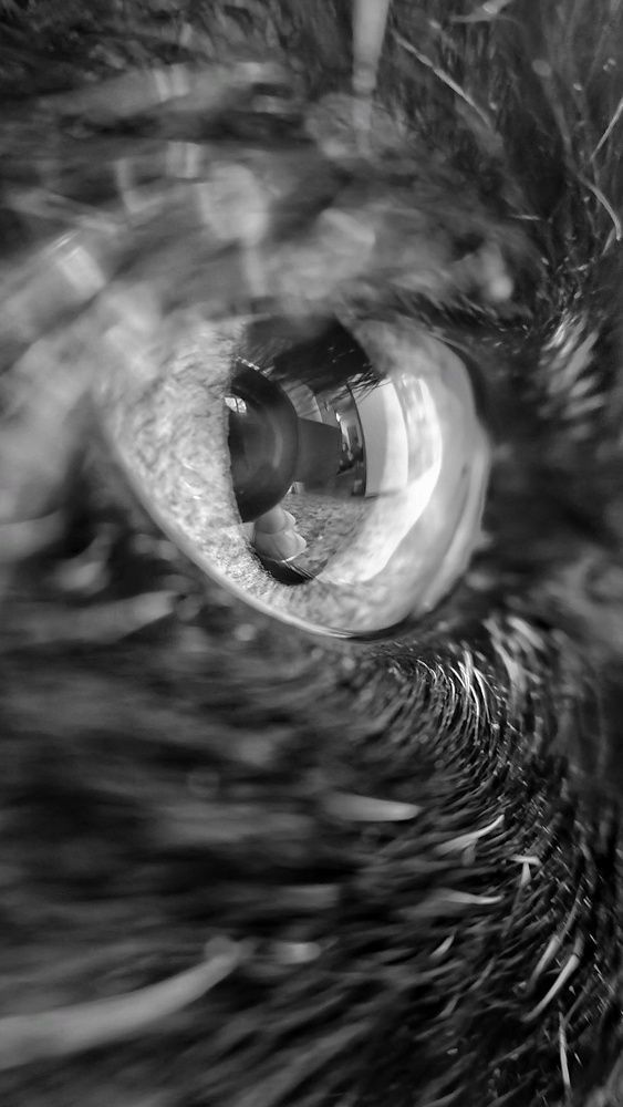 Photograph by Наталья Гущина